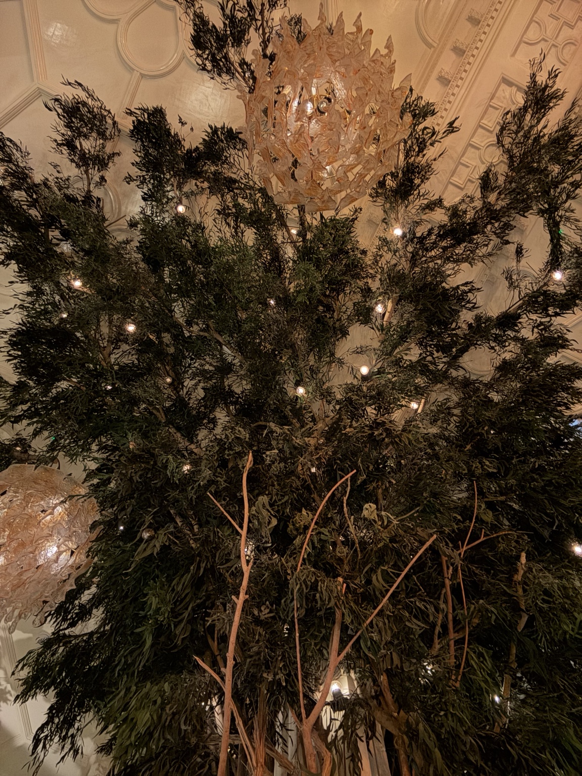 Arbre intérieur avec lumières